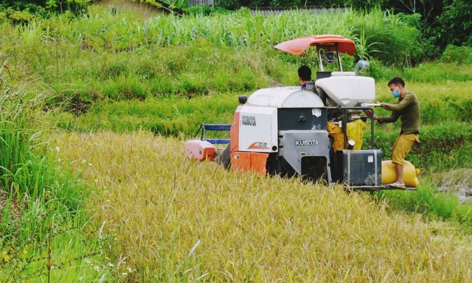 Hiệu quả giám sát về công tác giảm nghèo bền vững của Thường trực HĐND tỉnh Quảng Ninh
